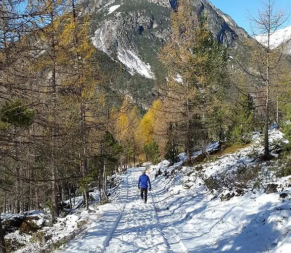 Апартаменты Casa Reit