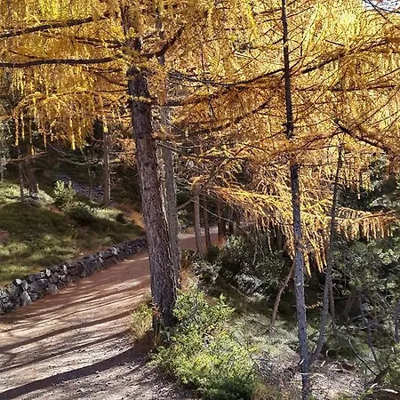 Casa Reit Appartamento Bormio