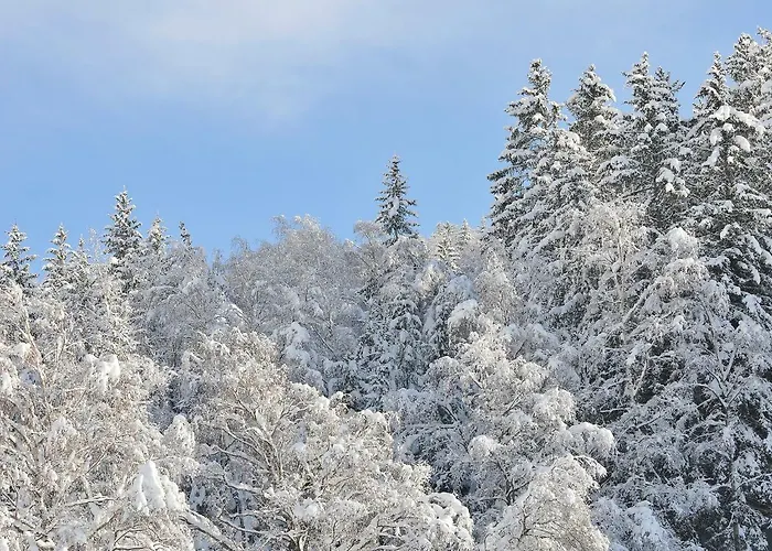 Casa Reit דירה *